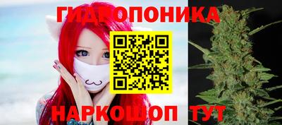 a pvp Будённовск